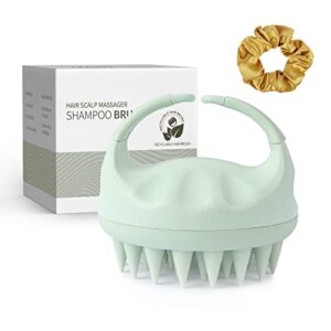 Dandruff-fighting hair brush