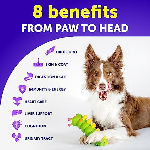 Designer Dog Breeds with Human-Like Hair - Various Sizes Available - Image 2