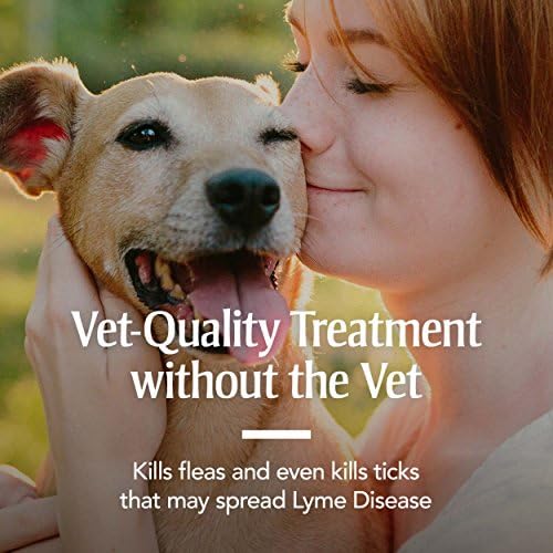 Human Hair Flea Dirt Detection Kit, Easy to Use and Effective - Image 2