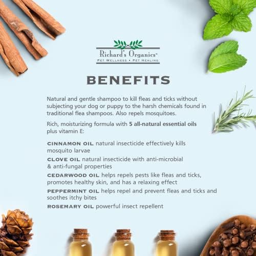 Natural Flea Treatment for Human Hair 8 oz, Safe Formula for All Hair Types - Image 3