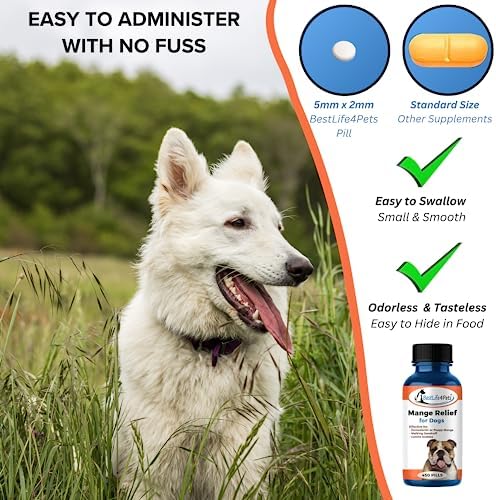 Human Hair Flea Infestation Identification and Treatment Guide - Detailed Images - Image 5