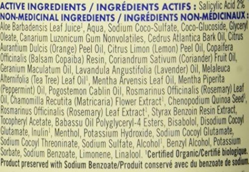 Homeopathic Dandruff Shampoo 12 oz Natural Scalp Care Formula - Image 5