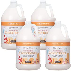 Isobutyl Amodimethicone Hair Conditioner for Smooth Shiny Hair 8 oz