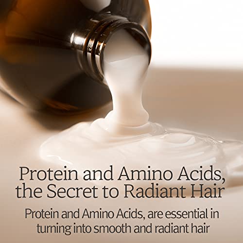 Moroccan Argan Oil Moisturizing Shampoo - Image 4