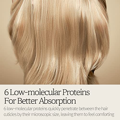 Moroccan Argan Oil Moisturizing Shampoo - Image 5
