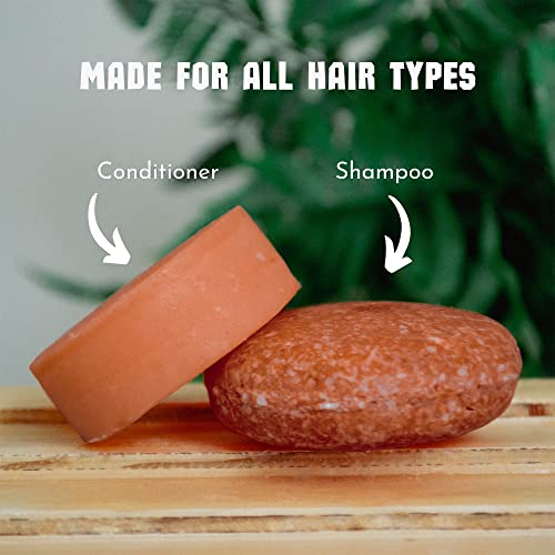 Acure Organics Moroccan Argan Oil Shampoo 12 oz for Nourishing Hair Care - Image 3