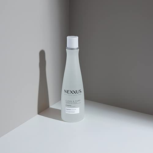 Moroccan Argan Oil Shampoo for Hair Loss - Image 7