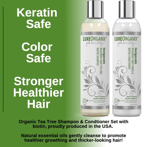 Organix Argan Oil Shampoo ? Nourishes and Restores Hair - Image 2