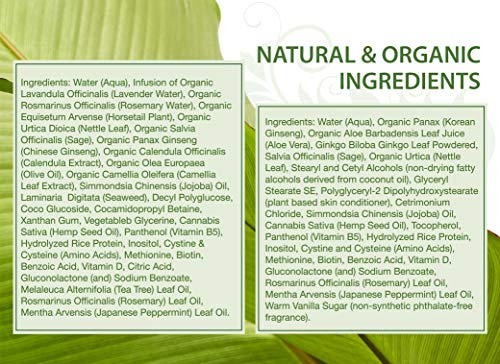 Organix Argan Oil Shampoo ? Nourishes and Restores Hair - Image 7