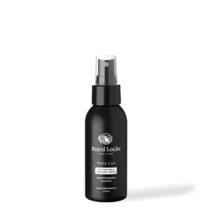 Rock The Locks Strong Hold Styling Hair Spray 10 oz for All-Day Shine