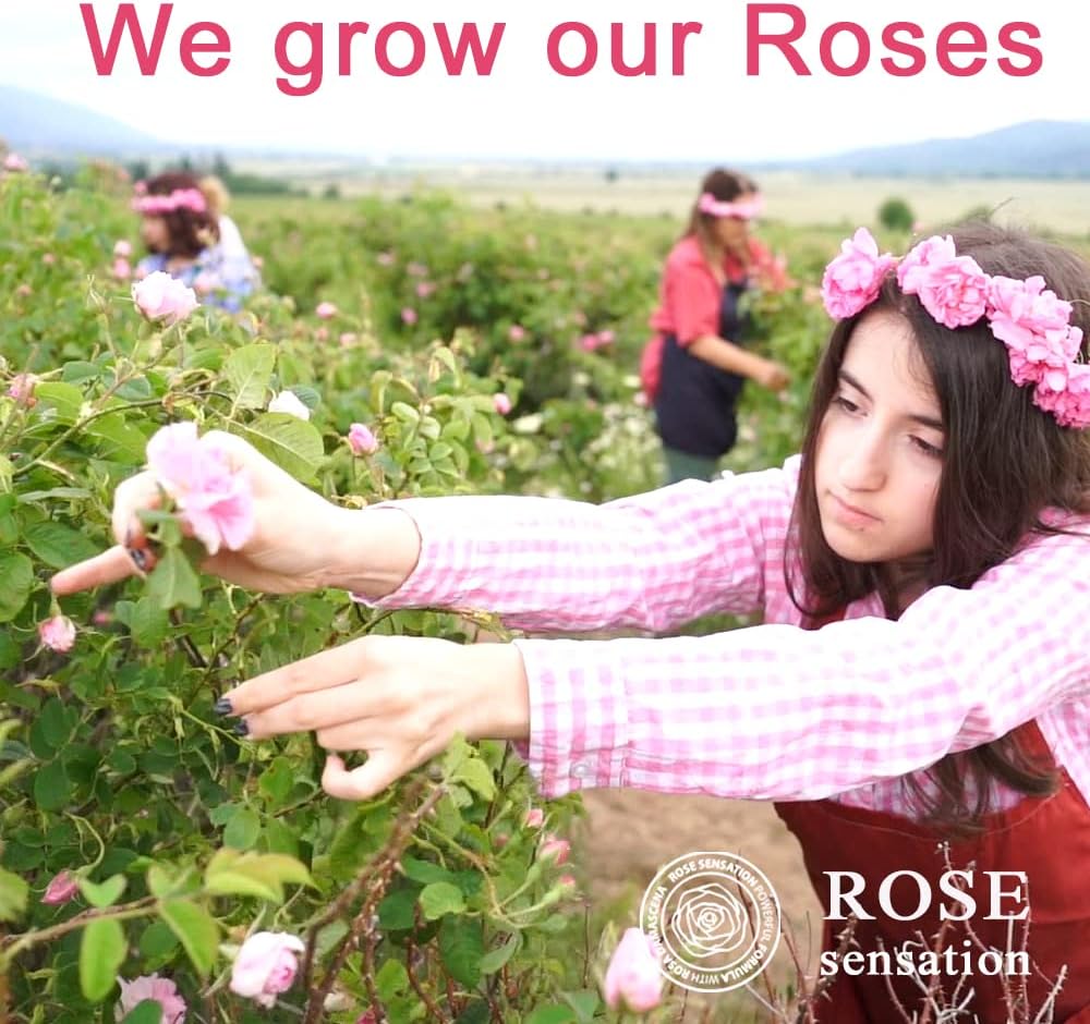 Rose 31 Hair Conditioner: Nourishing conditioner with rose scent. - Image 6