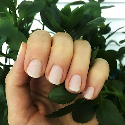 Rose Quartz Shimmer Nail Polish 15ml, Long-Lasting & Sparkling Finish - Image 4