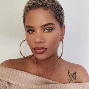 Short Afro Black Human Hair Wig
