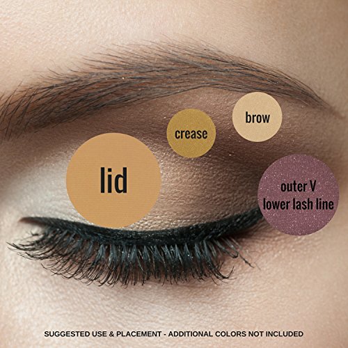 12 Shade Tan Eyeshadow Palette for All Skin Tones - Versatile Beauty - Image 5