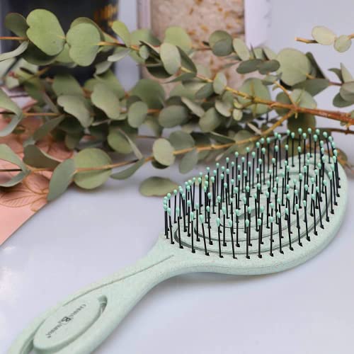 Tangle Teezer Detangling and Smoothing Hair Brush Compact Size for Effortless Grooming - Image 9