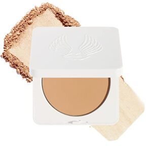 ?Tarte Powder Foundation Shades: Shorter Version?