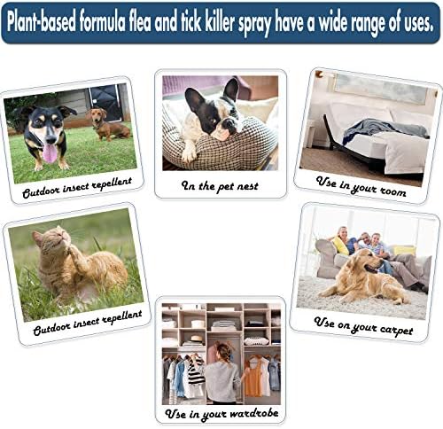 **Treating Fleas in Human Hair** - Image 5