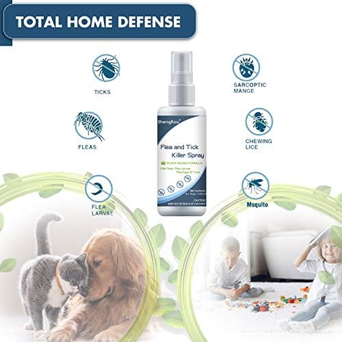 **Treating Fleas in Human Hair** - Image 3