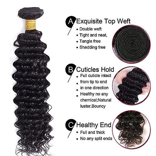 Types of Human Hair Cuticles Explained - Image 2