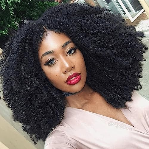 100% Human Hair African American Wig