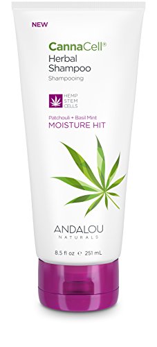 Creme Of Nature Argan Oil Shampoo