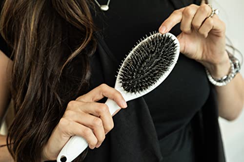 Balmain Hair Brush for Extensions - Image 6