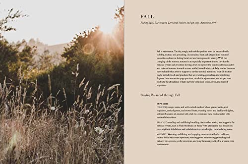 Powder Foundation: Definition and Benefits - Image 13