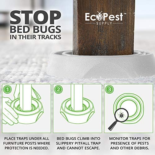 Bed Bugs Found in Human Hair - Image 3