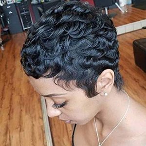 Short Black Human Hair Wig