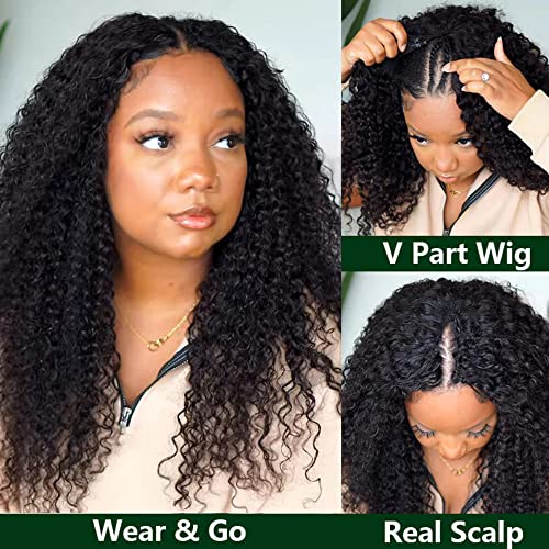 100% Human Hair African American Wig - Image 2