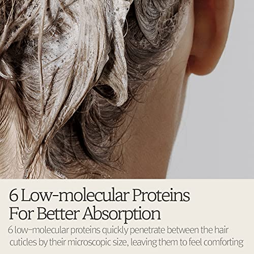 Maple Holistics Argan Oil Shampoo - Image 6