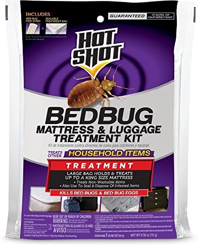 Human hair can contain bed bug eggs.