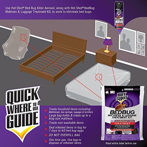Human hair can contain bed bug eggs. - Image 4