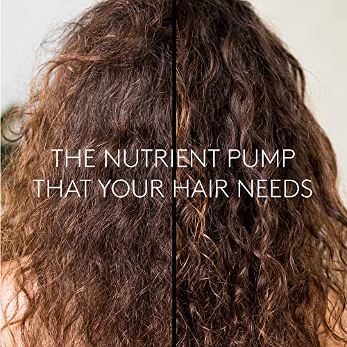 ?Apricot Hair Mask: Nourishing Treatment for Healthy Hair? - Image 4