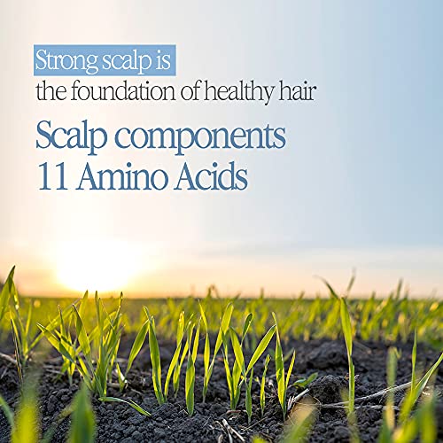 Argan Oil Hair & Scalp Conditioner ? Nourishes and Hydrates - Image 7