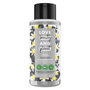 Argan Oil Shampoo by Hask