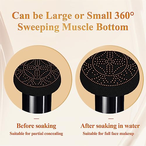 ?Bb Cream Under Powder? - Image 8