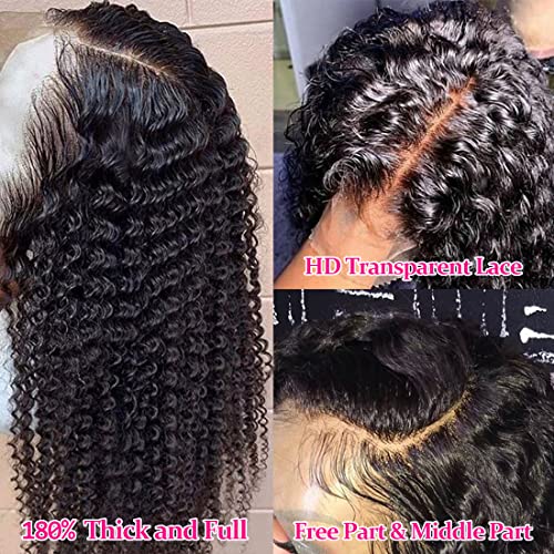 Black Lace Front Wig: Human Hair - Image 3