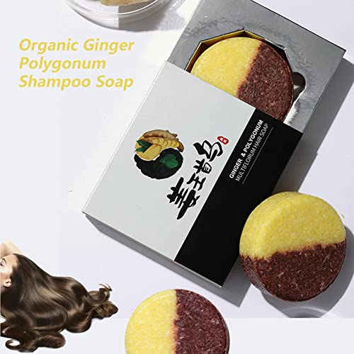 Ginger Shampoo for Dandruff Control - Image 6