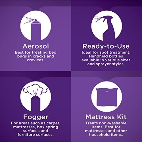 Human hair can contain bed bug eggs. - Image 5