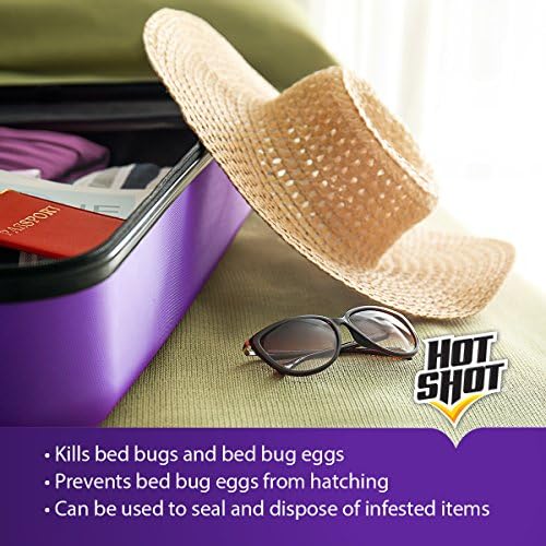 Human hair can contain bed bug eggs. - Image 3