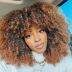 ?Natural Afro Curl Human Hair Wig?
