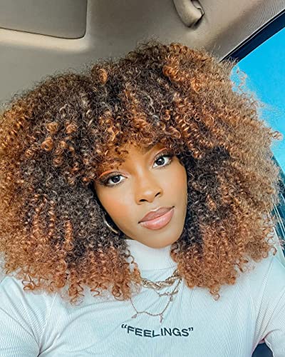 ?Natural Afro Curl Human Hair Wig?
