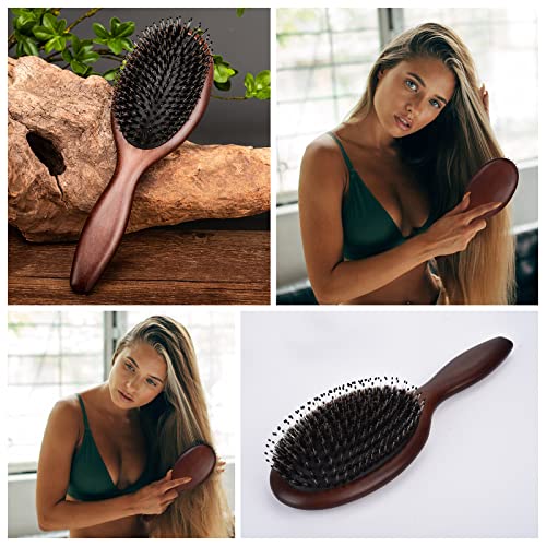 Women's Natural Boar Bristle Hairbrush for Detangling and Shine - Image 8