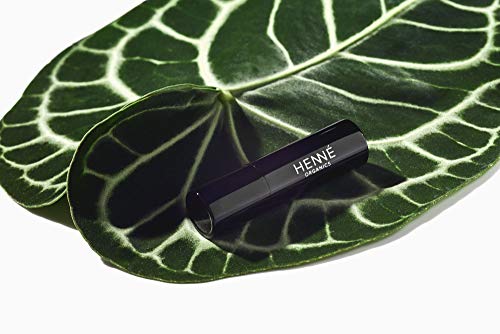Arden Lip Balm Stick: Hydrating and Nourishing Formula - Image 4