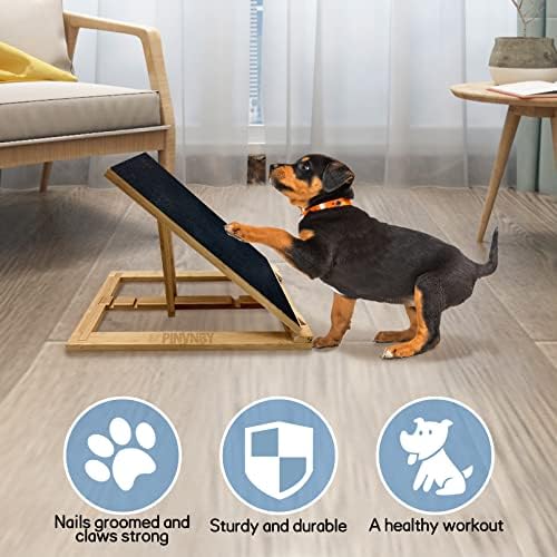 ?Dog Nail Clippers vs File: Which to Choose?? - Image 4