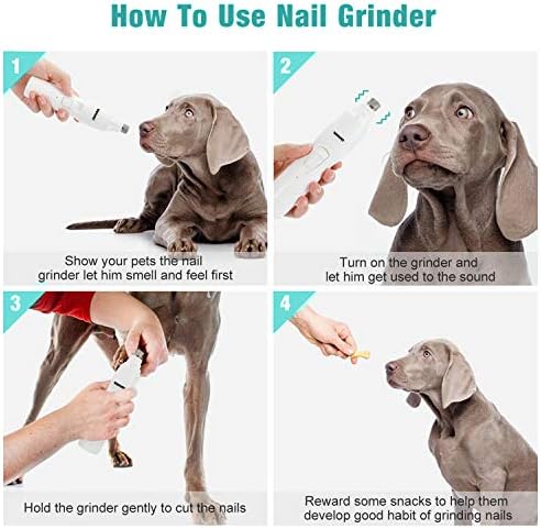 Fearful dog avoids nail clippers. - Image 8