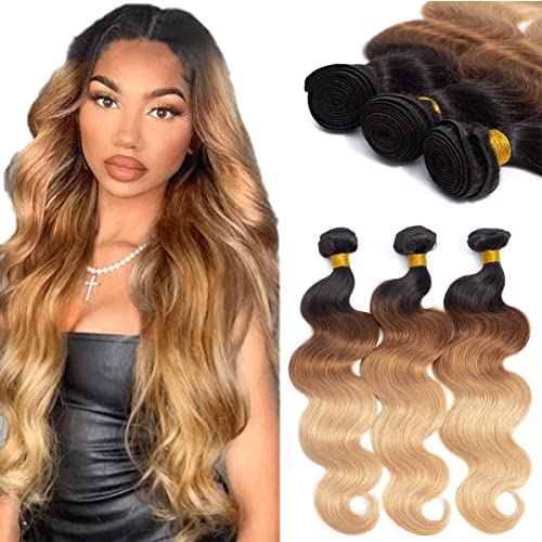 Two Tone Hair: Human Hair Extensions