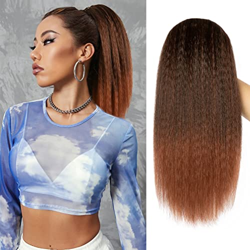 Ombre Human Hair Ponytail