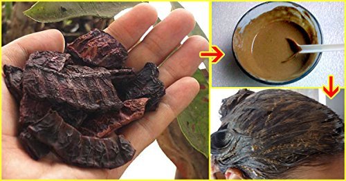 DIY Natural Olive Oil Hair Mask for Intense Hydration - 8 oz - Image 4
